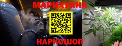 шишки Гудермес
