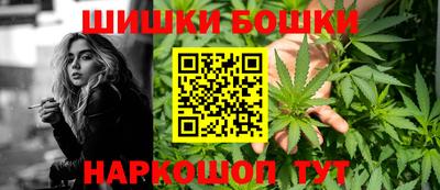 шишки Гудермес