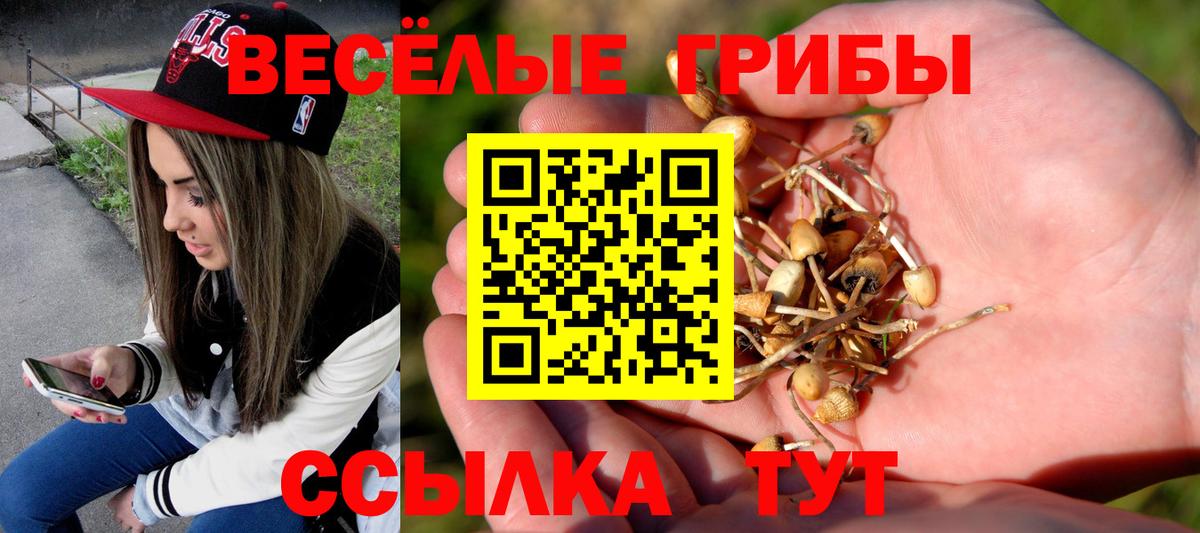 Псилоцибиновые грибы ЛСД Выборг